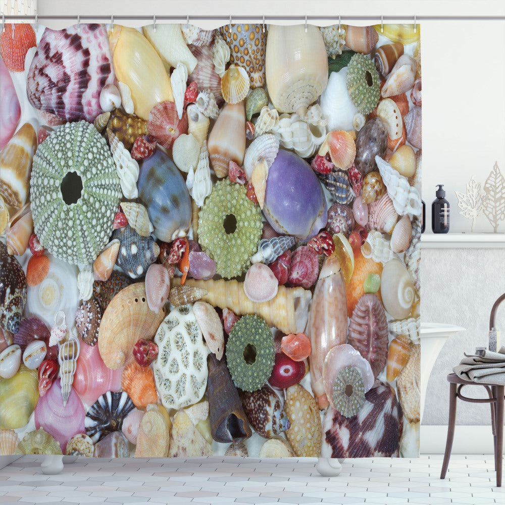 Vibrant Multicolor Shell Design Bath Curtain: Closeup of Colorful Big and Small Shells