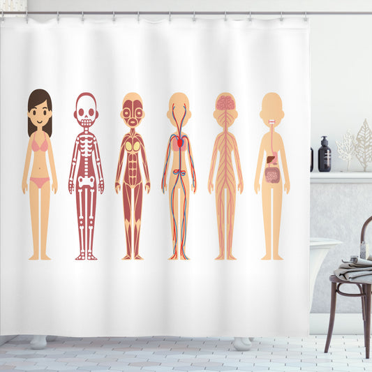 Anatomical Chart of Female Body Biology in Multicolor - Shower Curtain