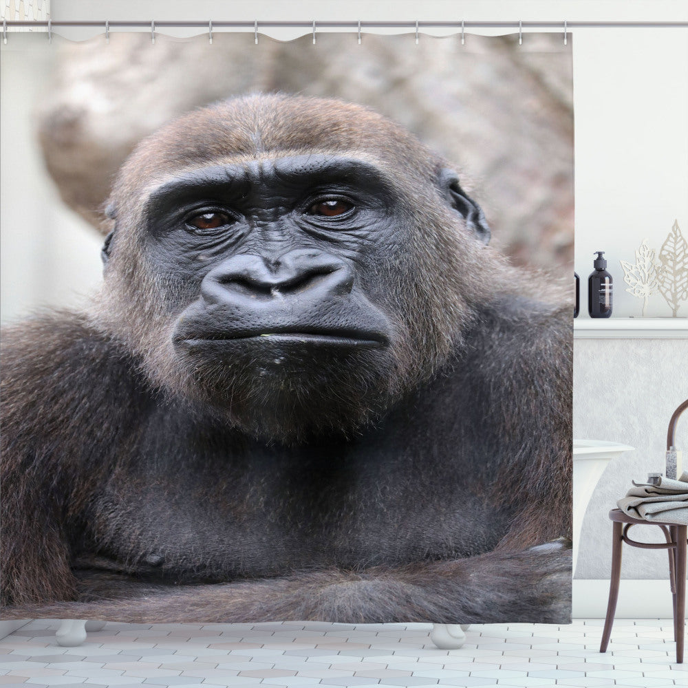 Close up of Young Male Gorilla in Pale Mauve Taupe, Charcoal Grey, Pale Tan, and Pale Taupe Shower Curtain