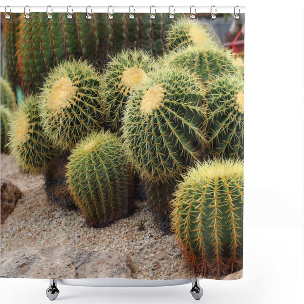 Cactus Inspired Golden Desert Shower Curtain in Pale Brown, Mustard, and Green