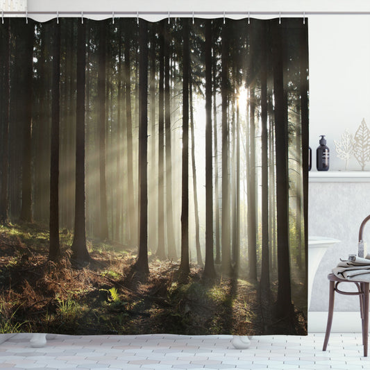 Black and Grey Forest Shower Curtain Scenery