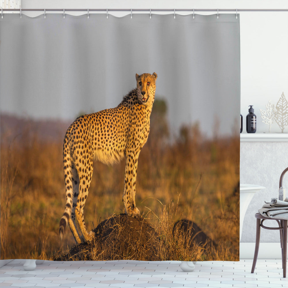 Wild Cheetah Safari Shower Curtain infused with Apricot, Ginger, and Dust