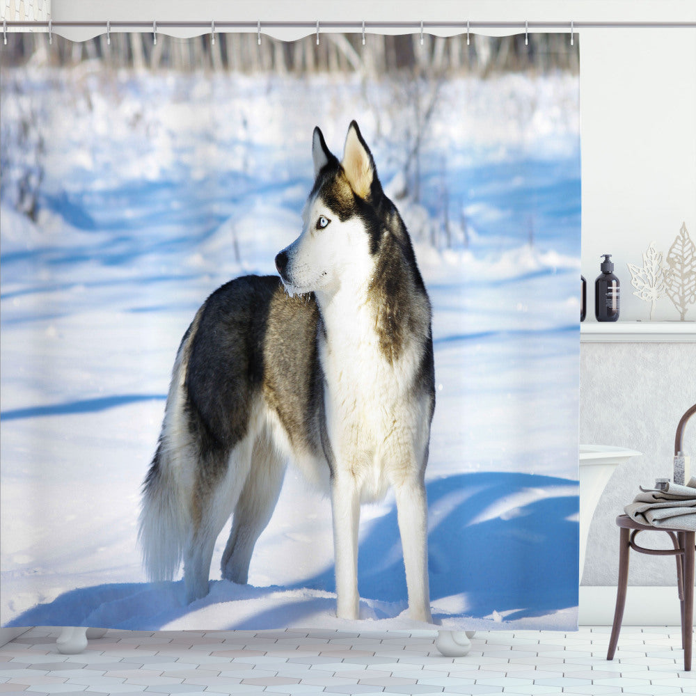 Alaskan Malamute Pale Blue, White, and Black Husky on Snow Shower Curtain