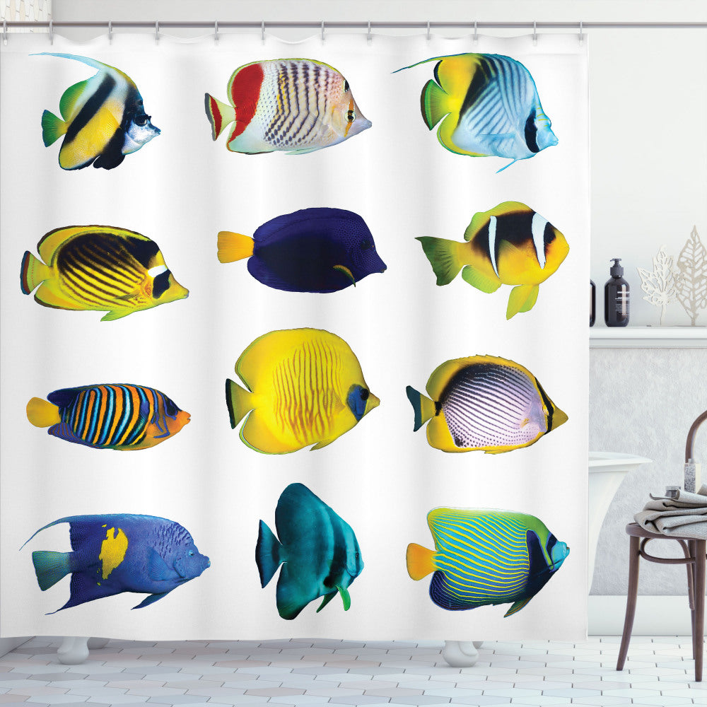 Aqua Multicolor Collage of Sea Animals Shower Curtain