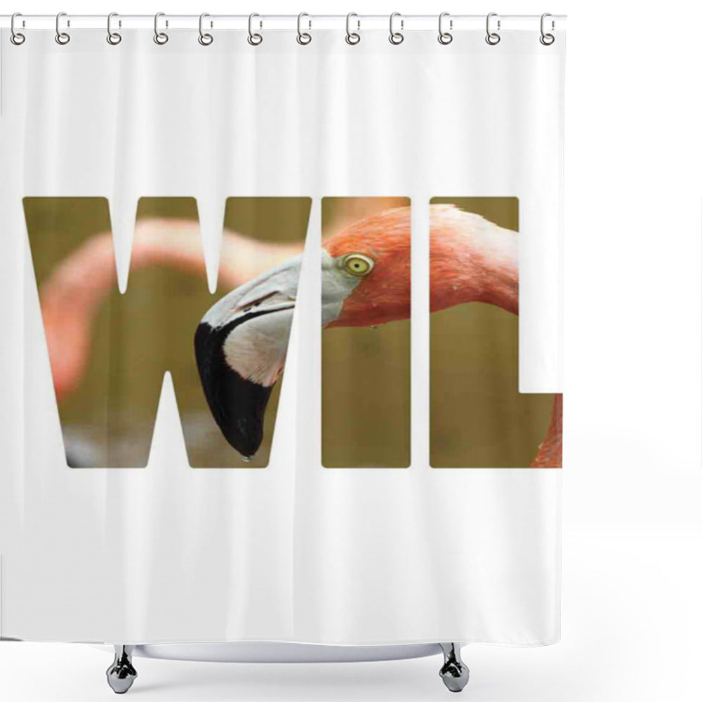 Vibrant Wild Caribbean Flamingo-themed Beige, Fawn, and Pink Shower Curtain Nature-inspired Design