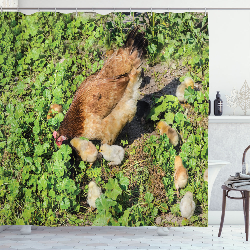 Animal-themed Shower Curtain Featuring Hen and Chicks on Shamrocks in Apple Green and Multicolor